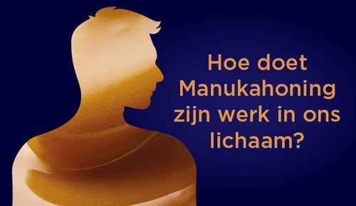 Hoe doet Manukahoning zijn werk in ons lichaam?